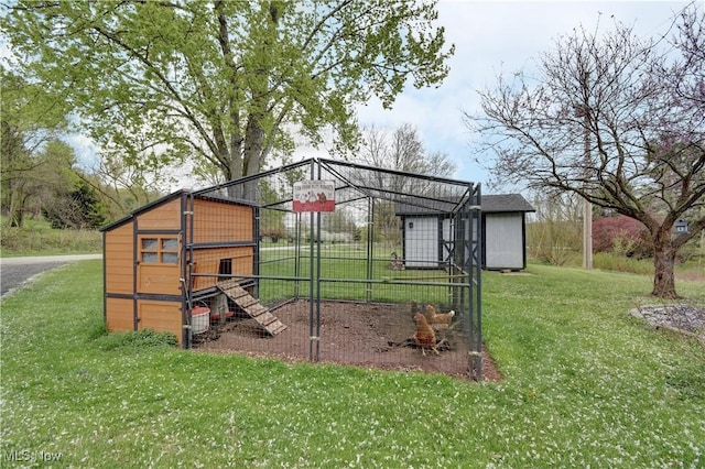 view of poultry coop with a lawn