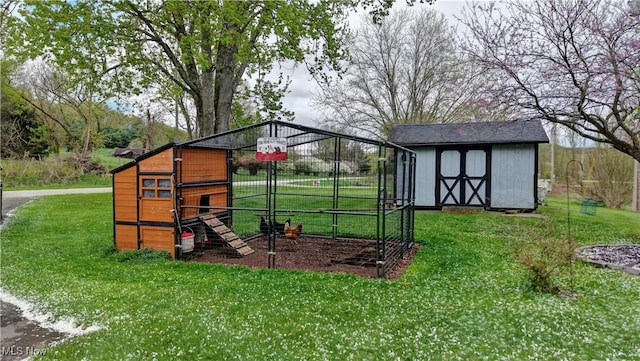 view of poultry coop featuring a lawn