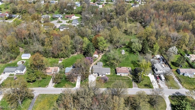 162 E Hamilton St, Oberlin, OH 44074 - drone / aerial view