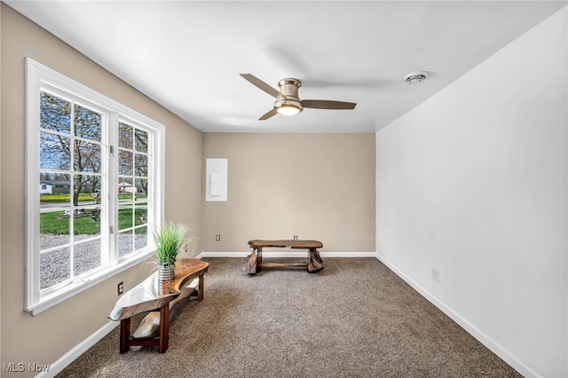 162 E Hamilton St, Oberlin, OH 44074 - sitting room featuring ceiling fan, carpet flooring, and baseboards