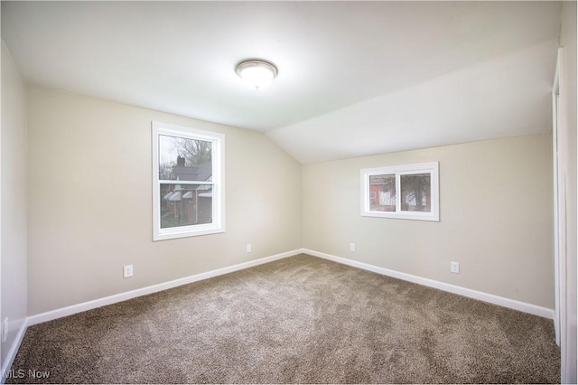 additional living space with lofted ceiling, carpet, a wealth of natural light, and baseboards