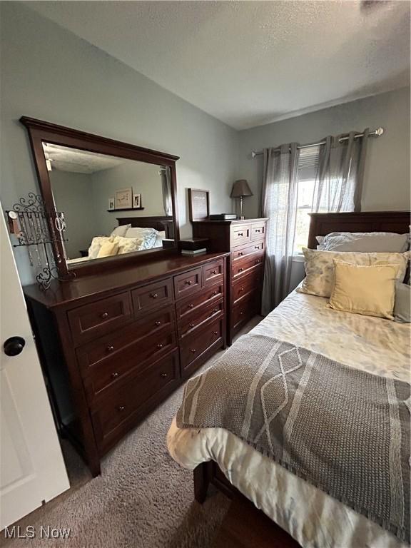 bedroom featuring carpet floors and a textured ceiling