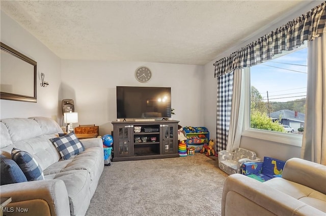 living area featuring a textured ceiling and carpet flooring