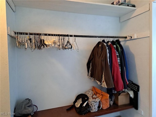 49197 John Tomcho Rd, Cumberland, OH 43732 - view of closet