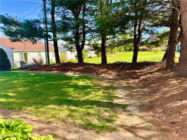 view of yard