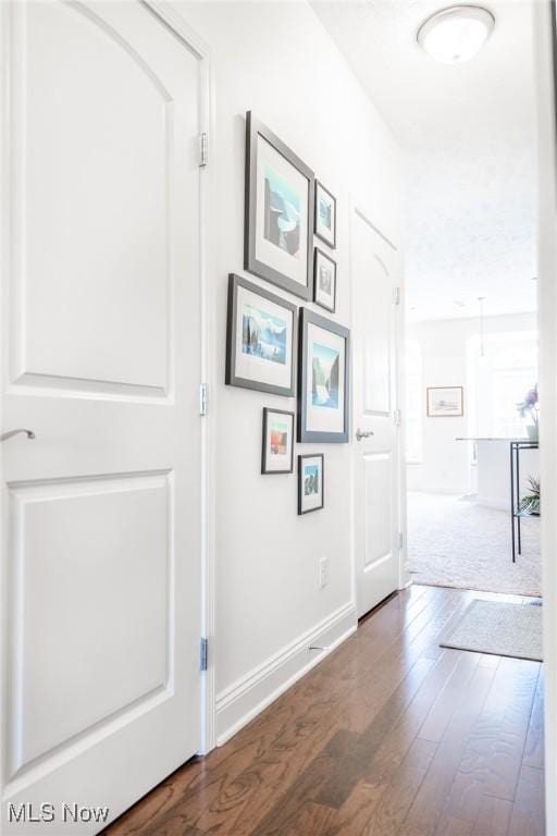 hall with baseboards and wood-type flooring