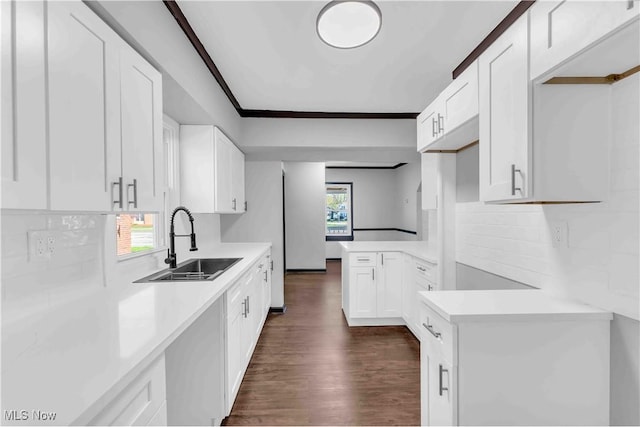 135 W Bagley Rd, Berea, OH 44017 - kitchen featuring white cabinets, a sink, light countertops, dark wood finished floors, and backsplash