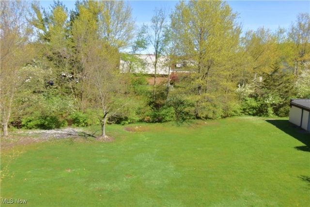 view of yard