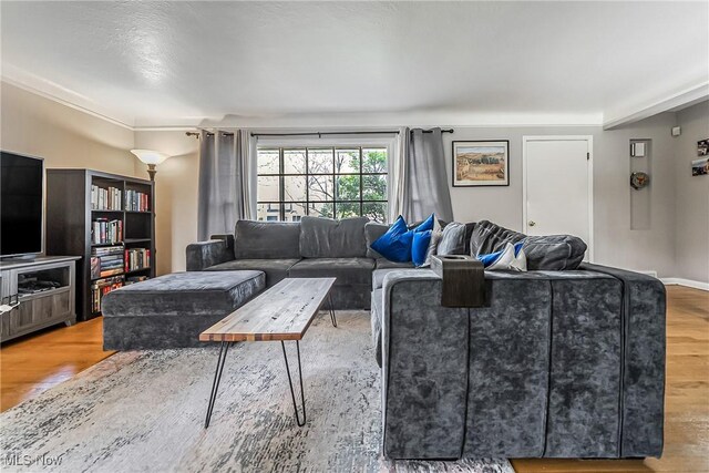 living area with wood finished floors