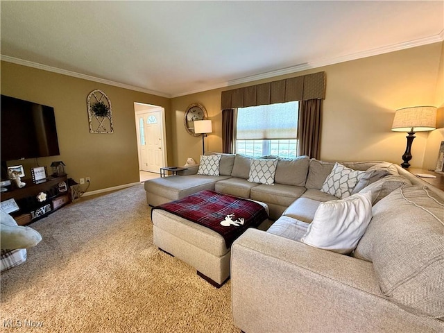 7455 Brushmore Ave NW, North Canton, OH 44720 - carpeted living area featuring crown molding