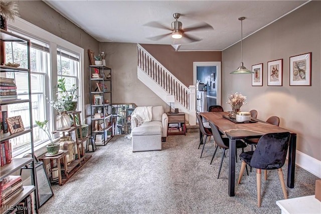 dining area with stairs, ceiling fan, and carpet floors