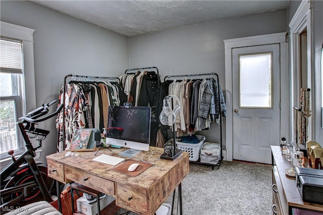 office featuring carpet