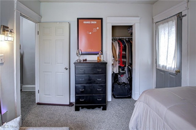 bedroom featuring carpet and a closet