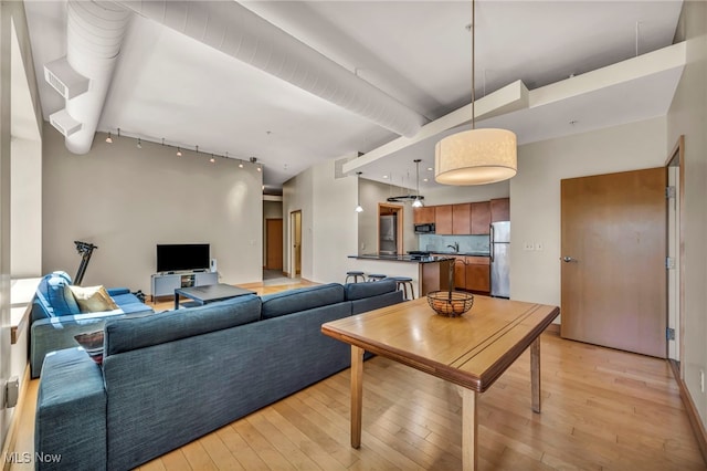 living area featuring light wood-type flooring and rail lighting