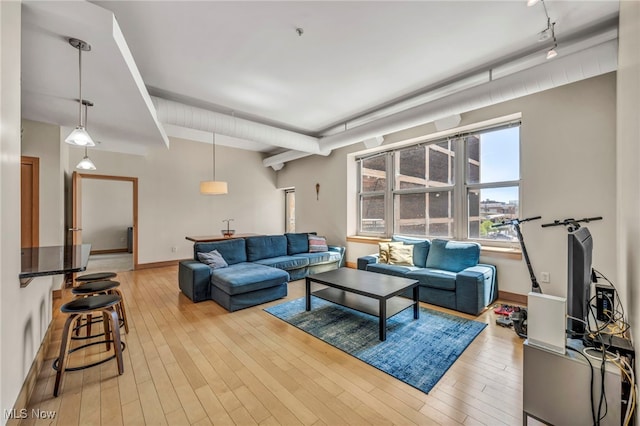 living room with baseboards and light wood-style floors