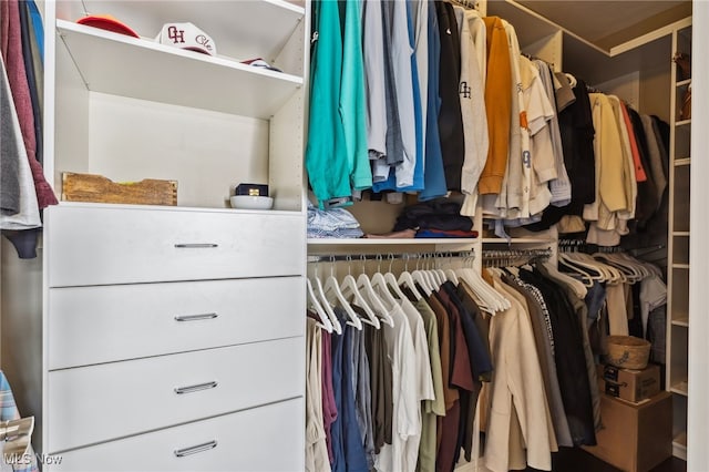 view of walk in closet