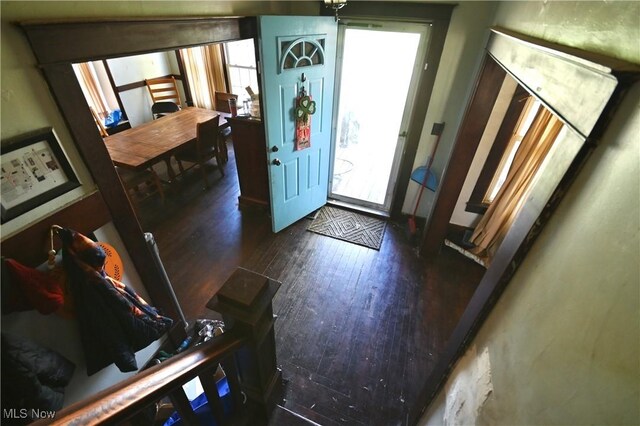 foyer entrance featuring wood finished floors