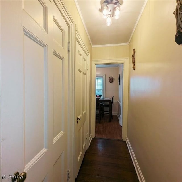 557 Cambridge Rd, Coshocton, OH 43812 - corridor with ornamental molding, dark wood-style floors, and baseboards