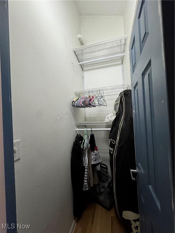 spacious closet featuring wood finished floors