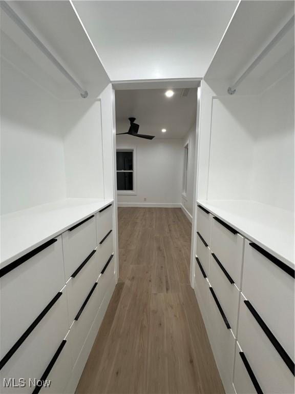 spacious closet featuring light wood-style flooring