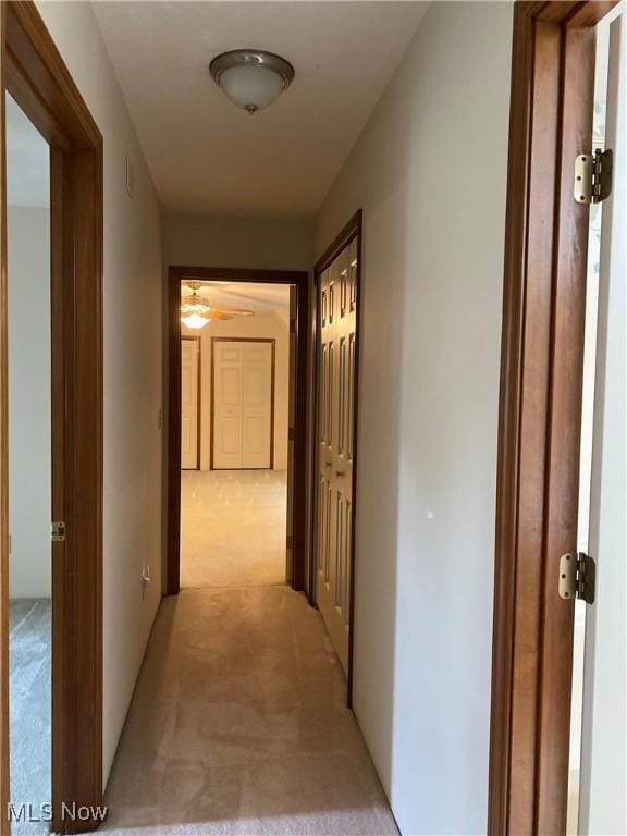 312 Chesapeake Cv, Painesville, OH 44077 - hallway featuring light carpet