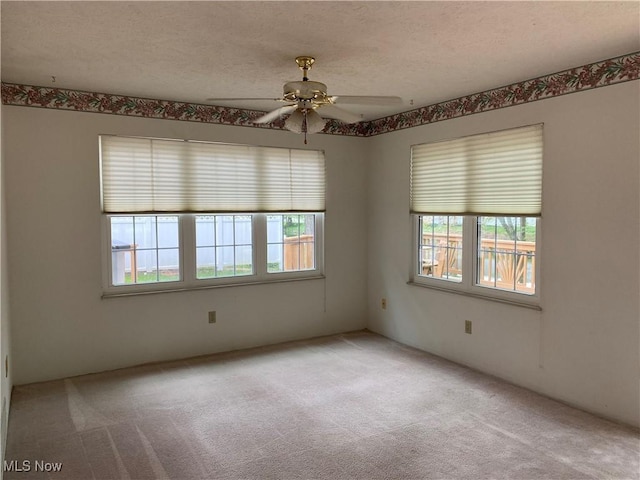 312 Chesapeake Cv, Painesville, OH 44077 - empty room featuring healthy amount of natural light, light carpet, ceiling fan, and a textured ceiling