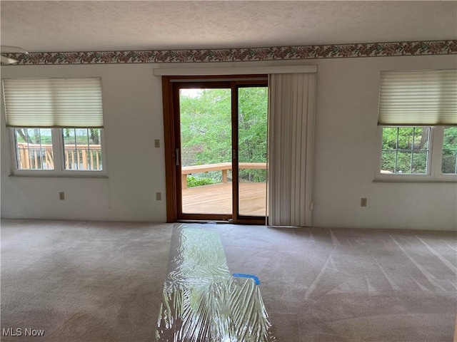 312 Chesapeake Cv, Painesville, OH 44077 - carpeted spare room with healthy amount of natural light