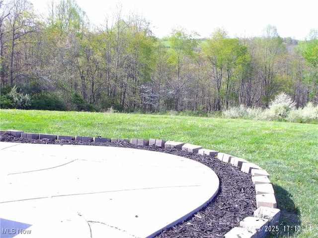 view of yard featuring a forest view