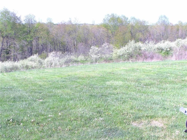 view of yard with a forest view