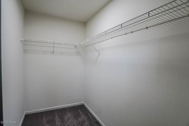 walk in closet featuring dark colored carpet