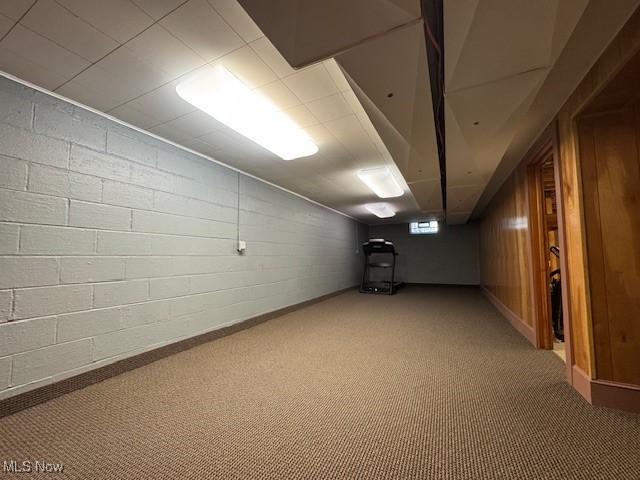 below grade area with carpet