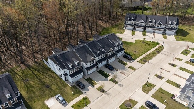 bird's eye view