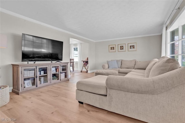 living room featuring crown molding, wood finished floors, and a healthy amount of sunlight