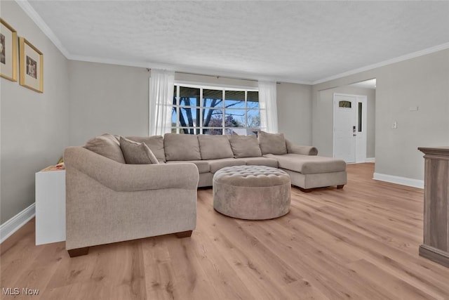 living area featuring baseboards, light wood finished floors, and crown molding