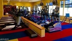 exercise room with a wealth of natural light