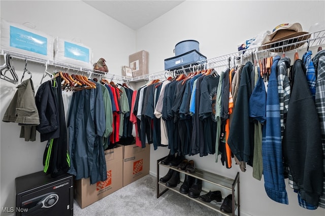 spacious closet featuring carpet floors