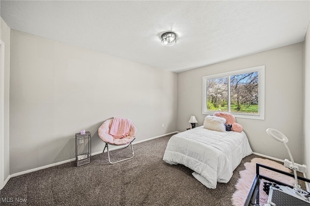 6084 Clay St, Thompson, OH 44086 - carpeted bedroom with baseboards and a textured ceiling