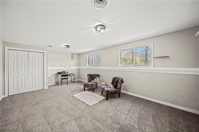6084 Clay St, Thompson, OH 44086 - sitting room with carpet flooring, a textured ceiling, and visible vents