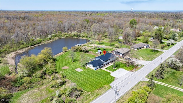 6084 Clay St, Thompson, OH 44086 - birds eye view of property featuring a water view and a wooded view