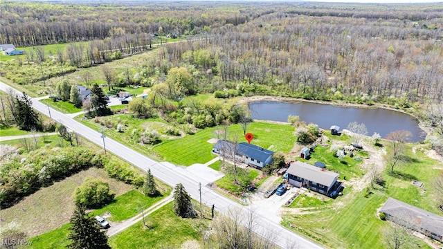6084 Clay St, Thompson, OH 44086 - bird's eye view featuring a water view and a view of trees