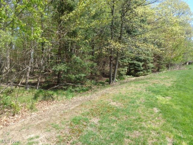 view of nature with a forest view