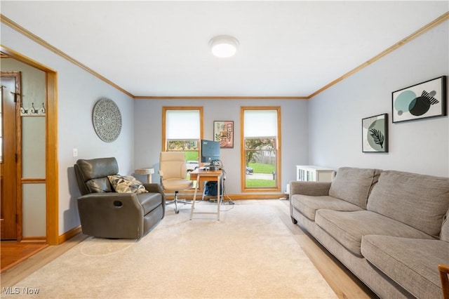 living room featuring crown molding, baseboards, and light wood-style flooring