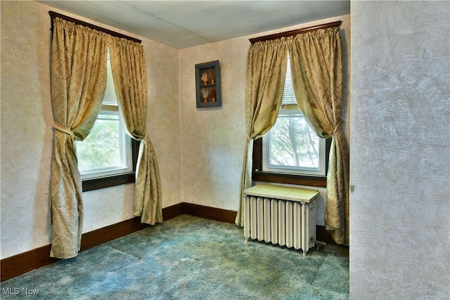 interior space with radiator heating unit, plenty of natural light, and carpet