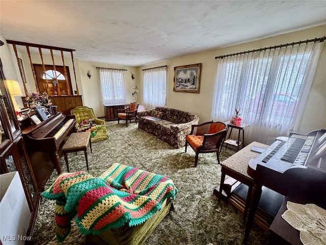 living room with carpet flooring and a wealth of natural light
