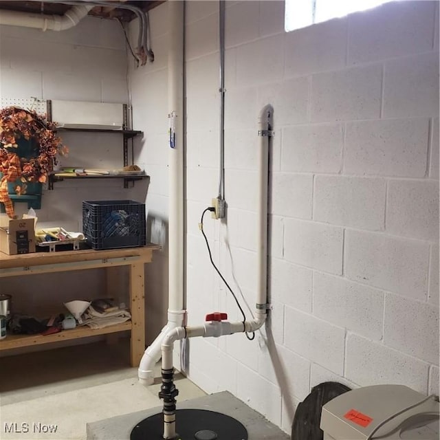 unfinished below grade area featuring concrete block wall