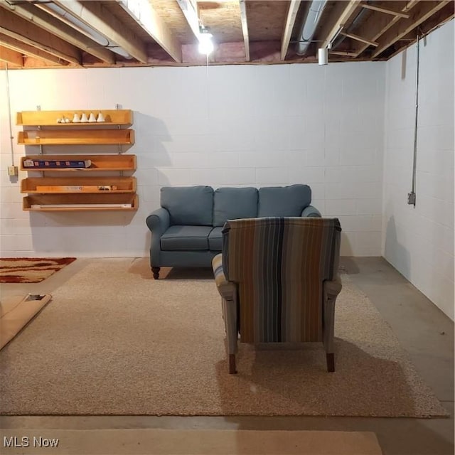 basement with concrete block wall
