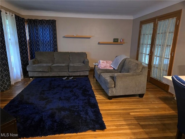 living room featuring wood finished floors
