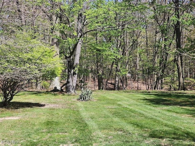 view of yard with a view of trees