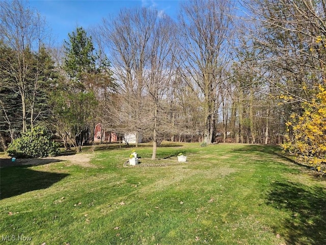 view of yard