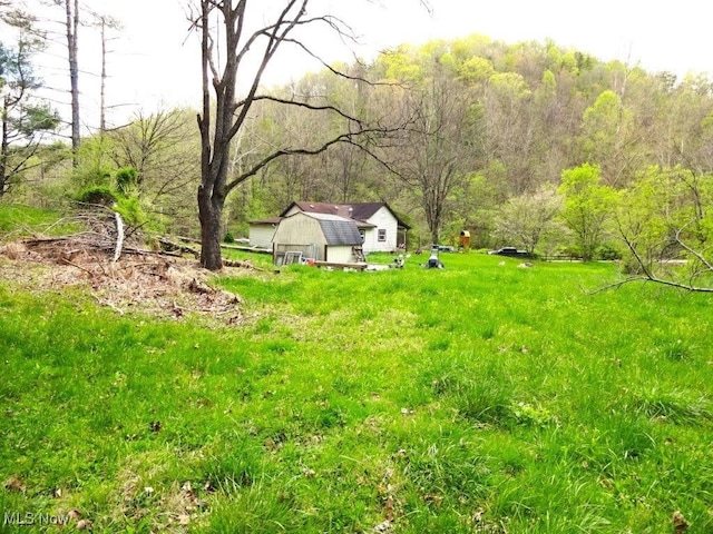 view of yard with an outbuilding